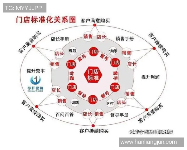 深入分析IG的运营策略与成功秘诀探讨